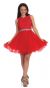 Lace Top Tulle Skirt Short Homecoming Party Dress in Red